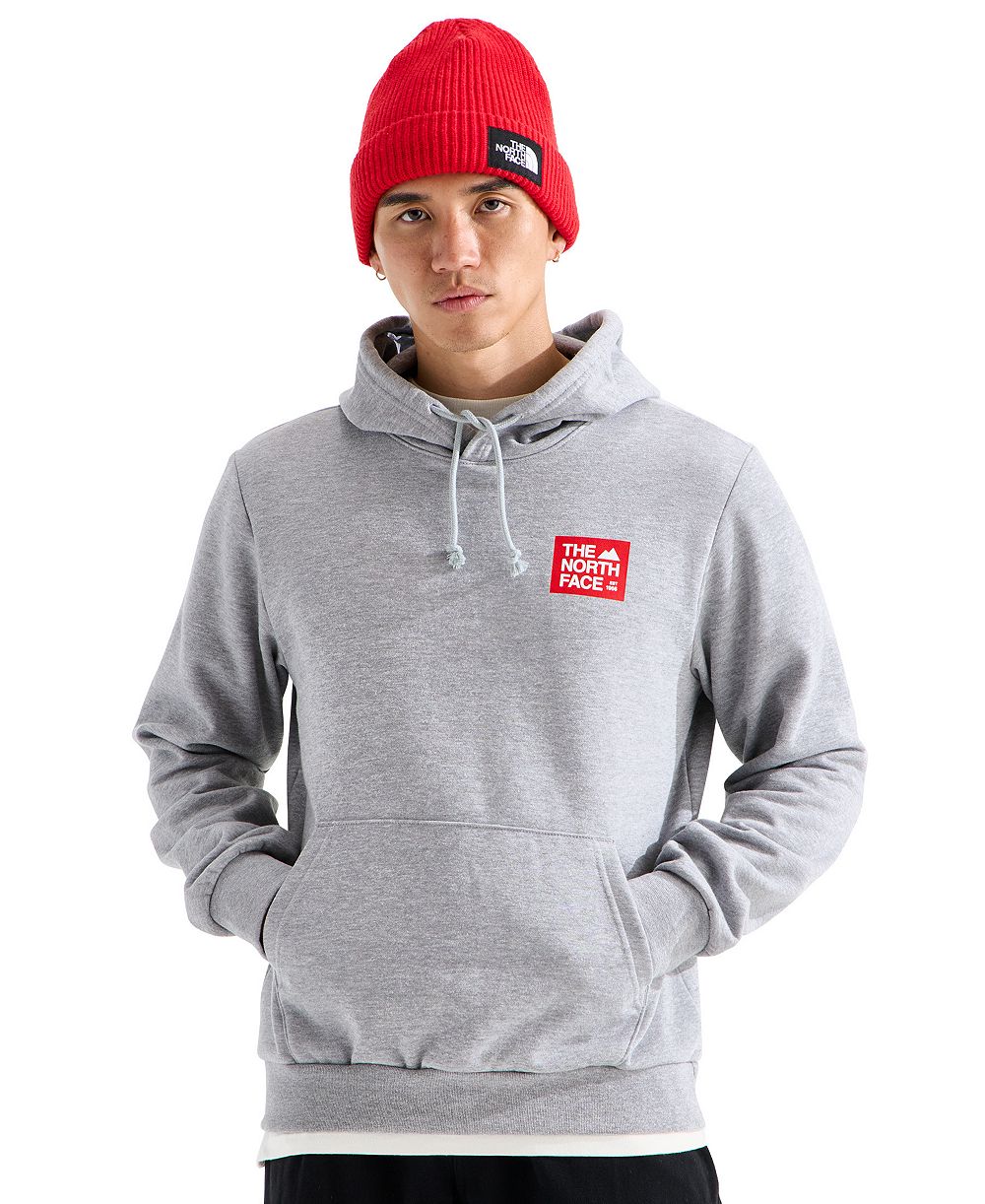 Мужское худи The North Face Evolution TNF™ Peak