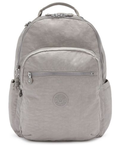 Gray Gris