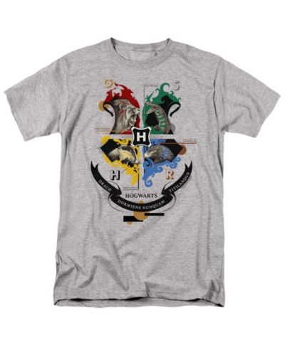Мужская футболка Harry Potter Hogwarts Magicial Mischief Level Up Crest