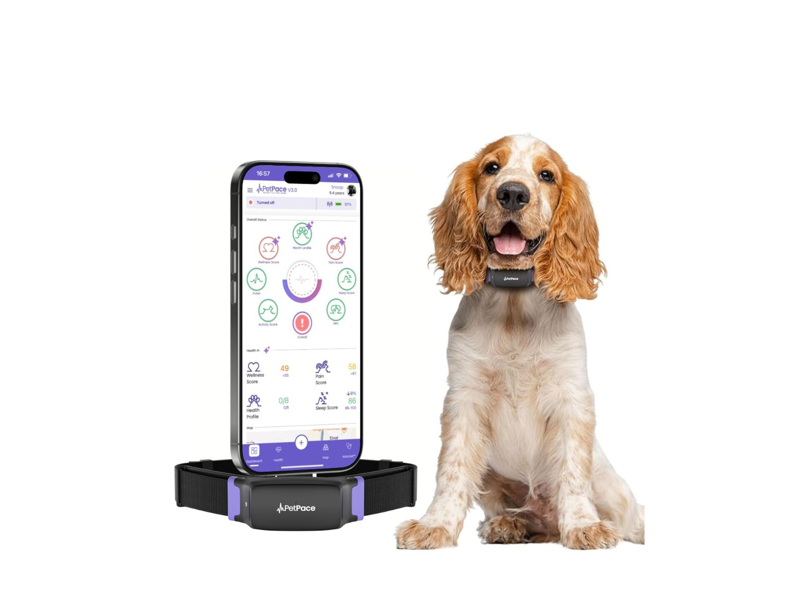 Ошейник для мониторинга здоровья собаки Petpace