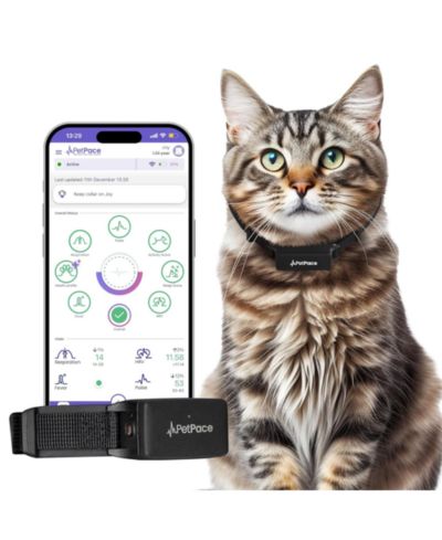 Petpace Cat Health Monitoring Collar