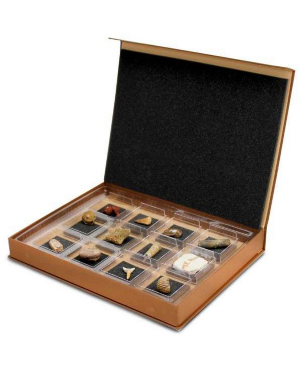 Набор Geoworld The Nature Collection - Fossils Set 2
