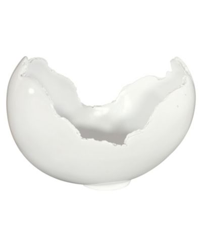Phillips Collection Burled Bowl