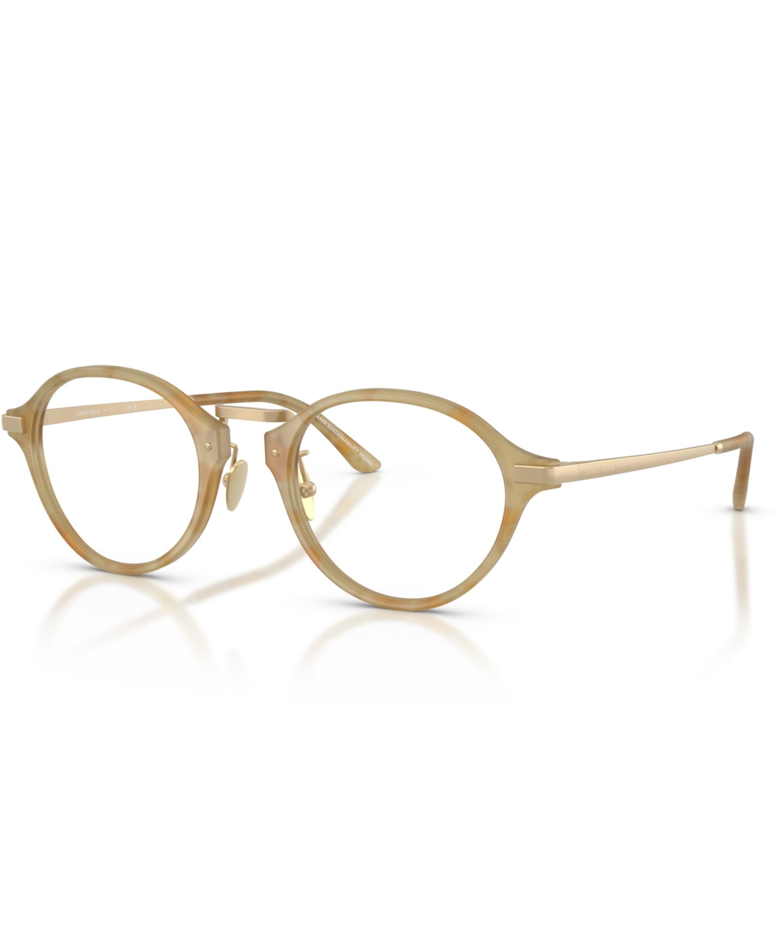 Очки Giorgio Armani Man Panthos Plastic AR7287