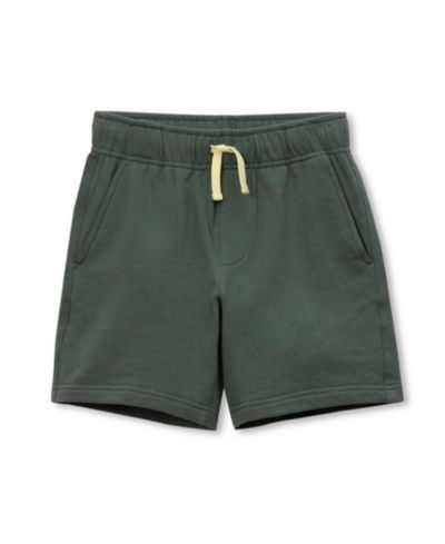 Dark forest green