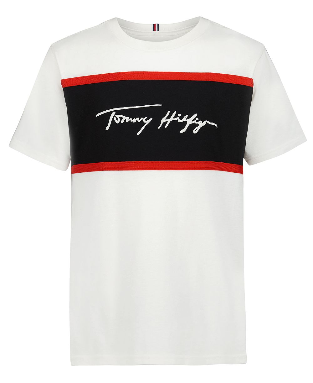 Мужская футболка Tommy Hilfiger с логотипом и цветными блоками