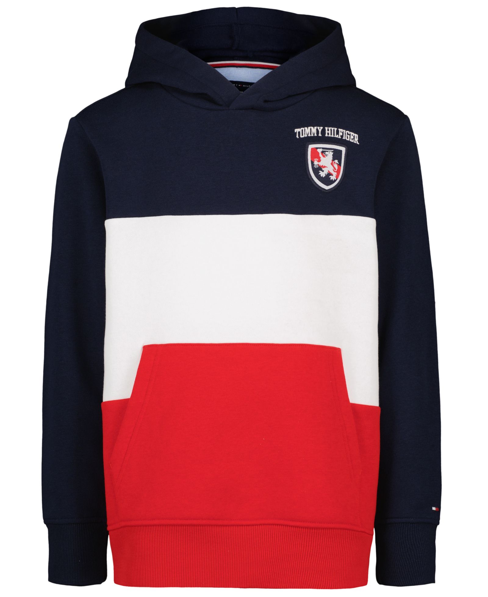 Tommy Hilfiger Boys' 8-20 Color-Blocked Logo Hoodie