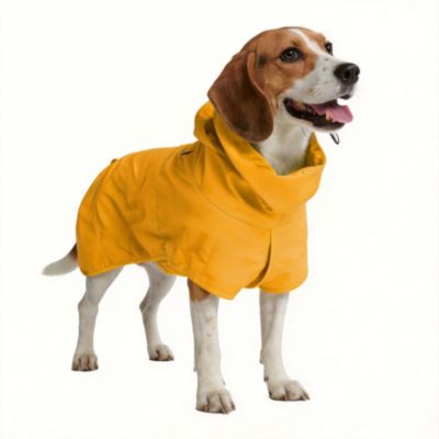 Mustard yellow