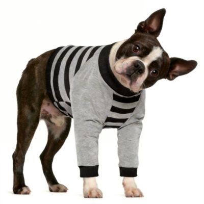 ARONKL Dog Recovery Sleeve for Knee Protection and Joint Support