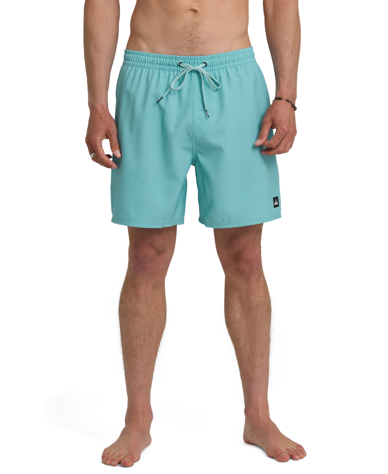Мужские плавательные шорты Quiksilver Everyday