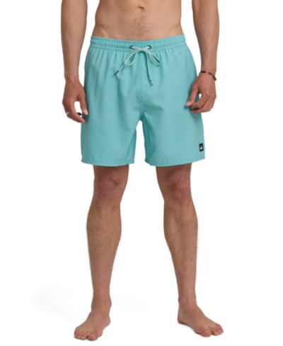 Мужские плавательные шорты Quiksilver Everyday