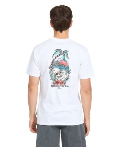 Quiksilver Men's Staycation Short-Sleeve T-Shirt