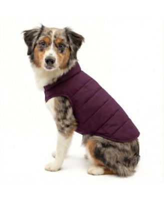 Coastal blue orange