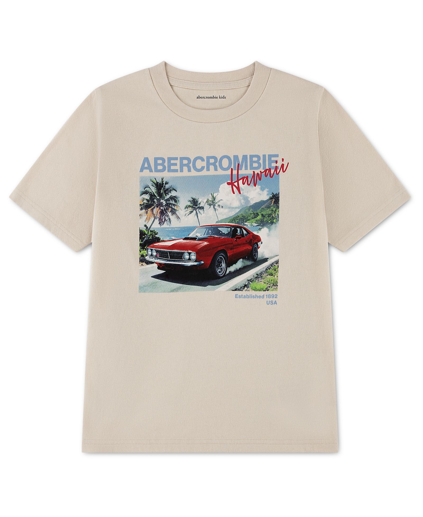 abercrombie kids Boys' Hawaii Race T-Shirt