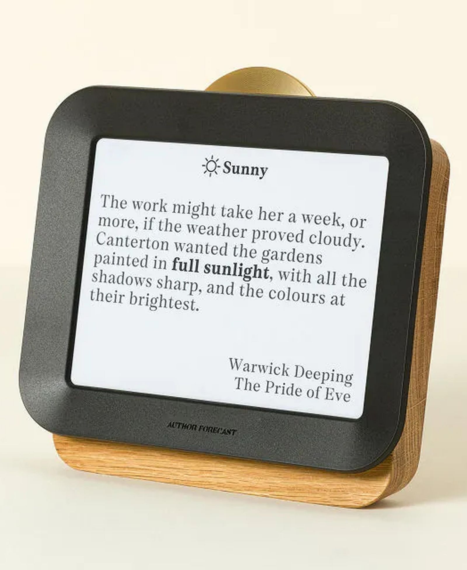 Uncommon Goods Literary Weather Forecast электроника