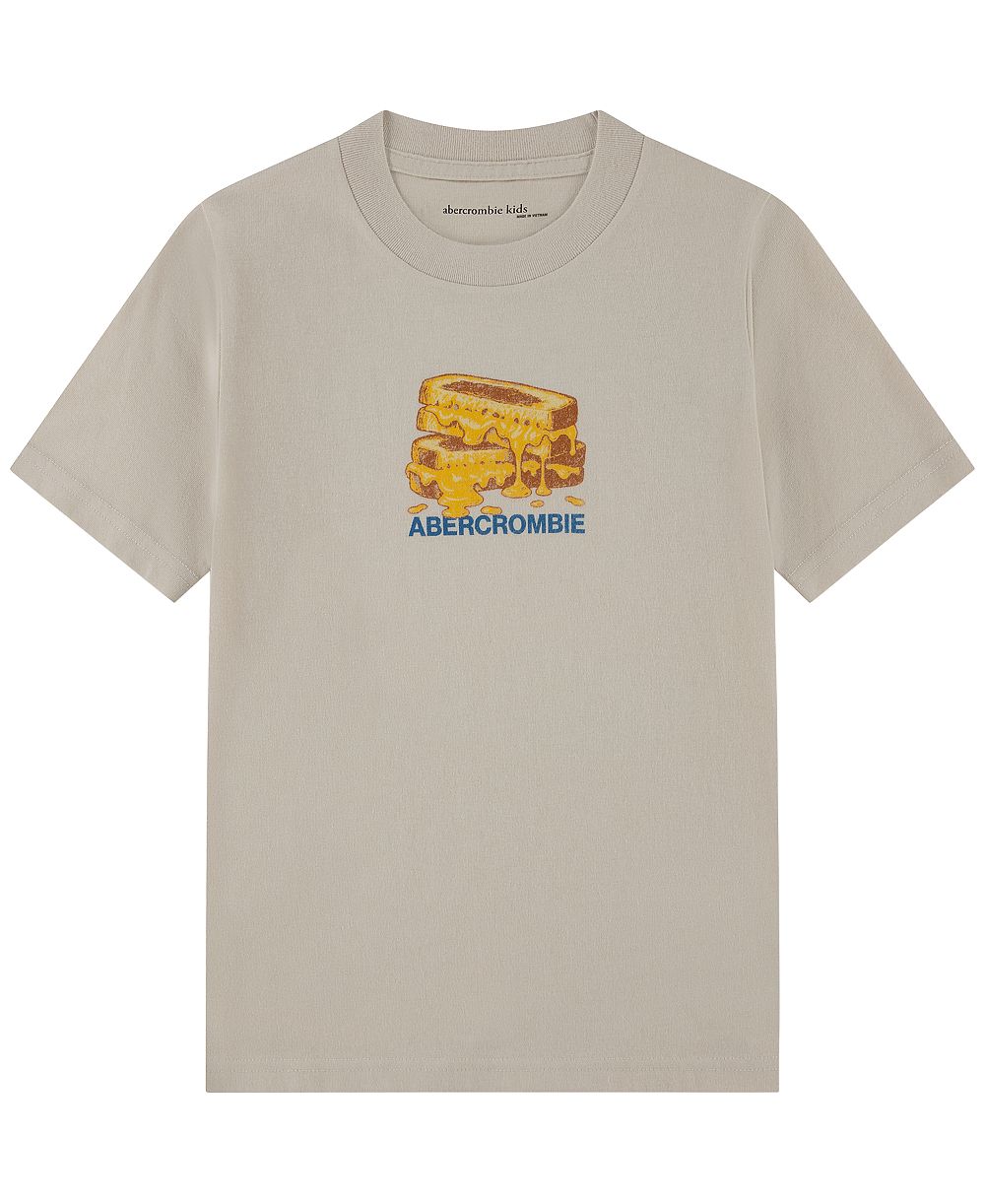 abercrombie kids Boys' 5-16 Short-Sleeve Graphic T-Shirt
