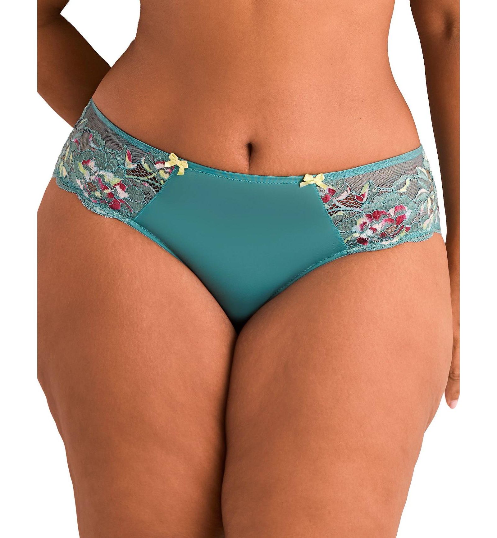 Adore Me Plus Size Chelsi Hipster Panty
