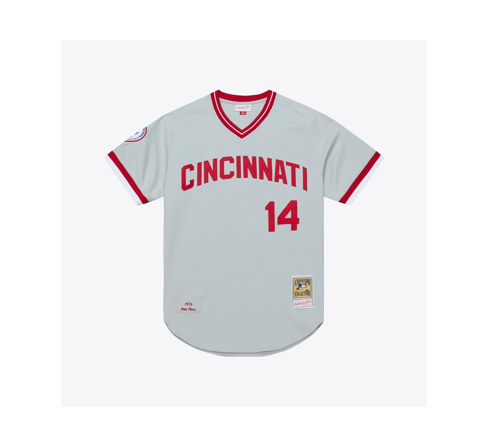 Мужская джерси Mitchell & Ness Pete Rose Gray Cincinnati Reds 1976 Authentic
