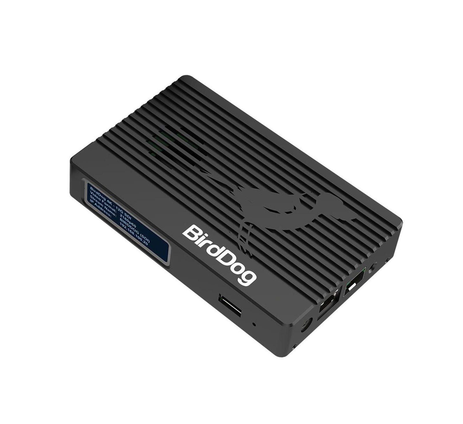 BirdDog энкодер/декодер 4K 12G-SDI NDI