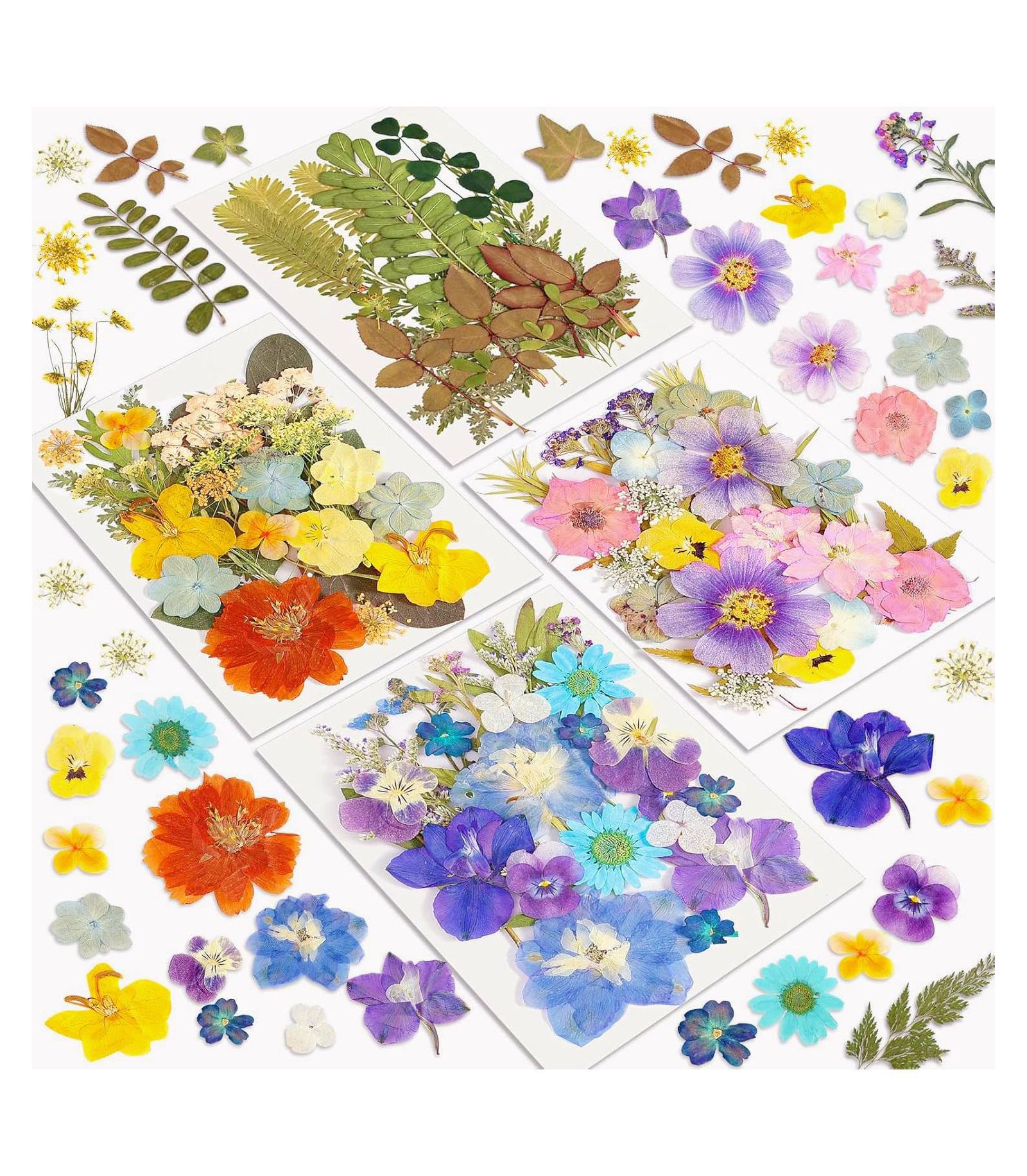 GNUADZ 100pcs Dried Flowers Pressed Leaves Craft Kit DIY Soap Candle Scrapbook Card Making Supplies