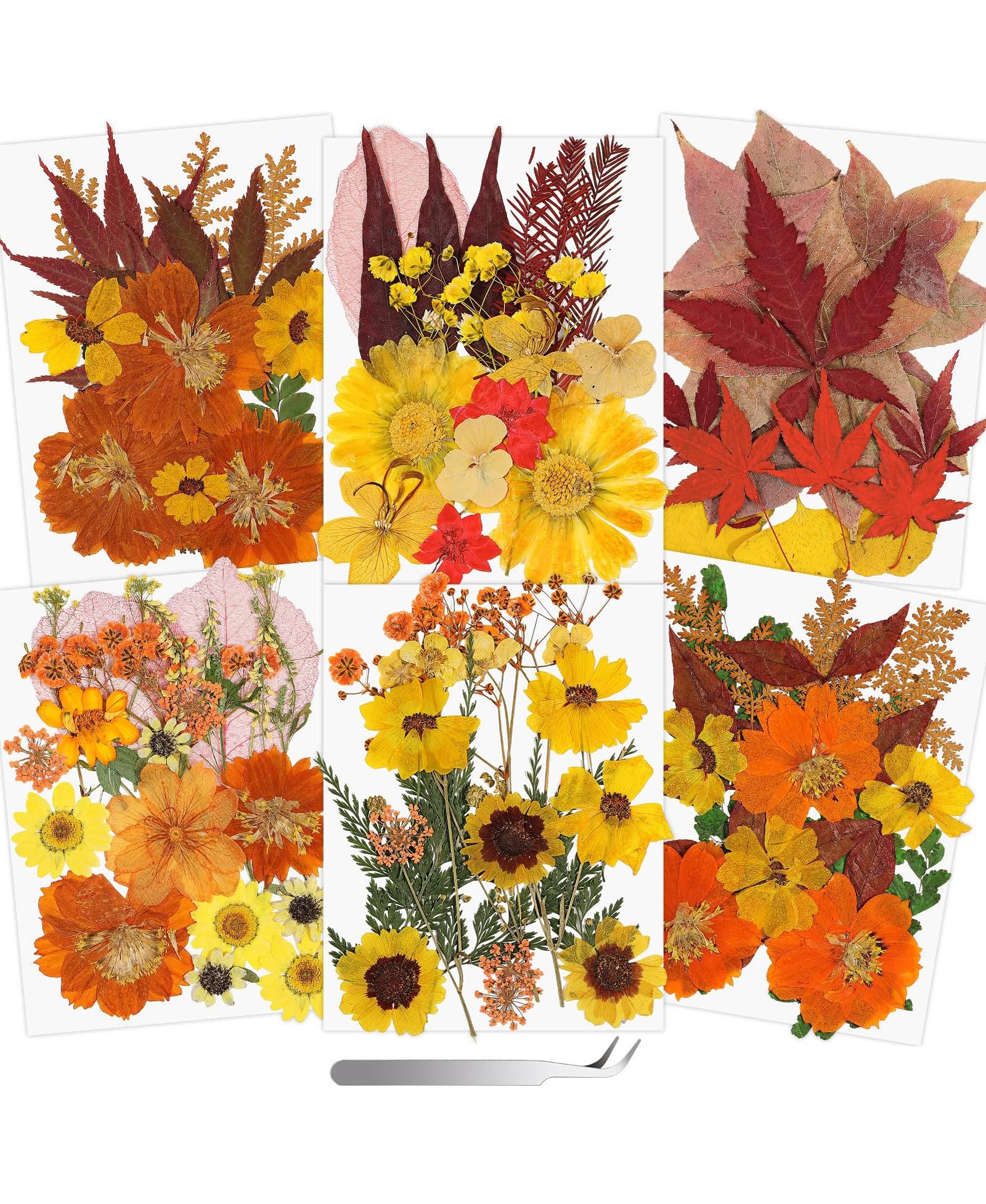 GNUADZ 100+ Real Dried Pressed Flowers Leaves Florals Tweezer Candle Scrapbooking Thanksgiving Gift