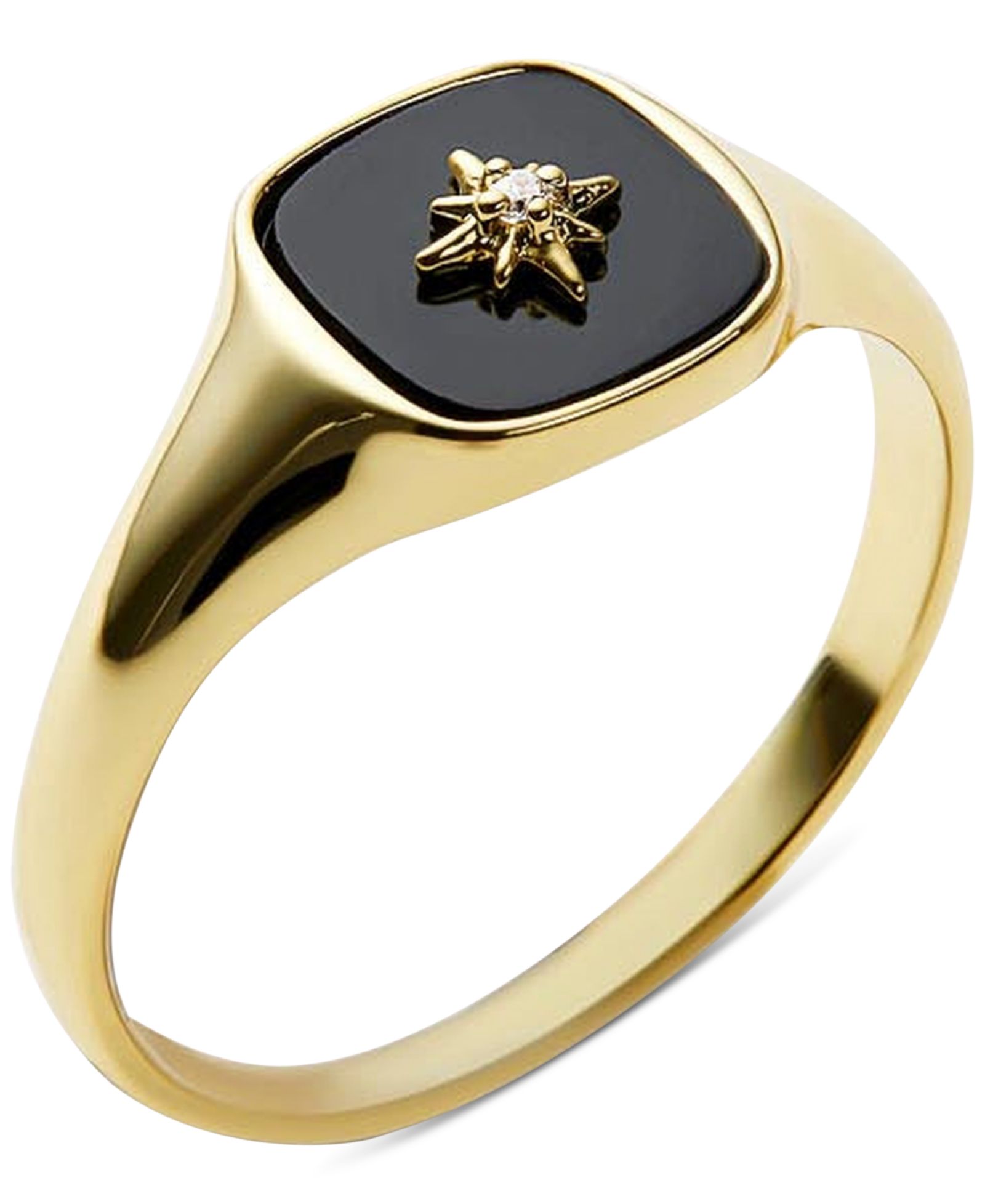 Кольцо-печатка Ana Luisa Amara Black Gold-Plated