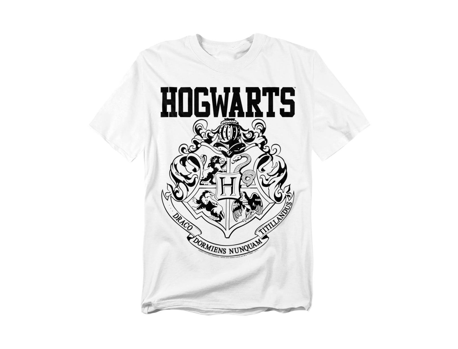 Harry Potter Big & Tall Hogwarts Athletic T-Shirt