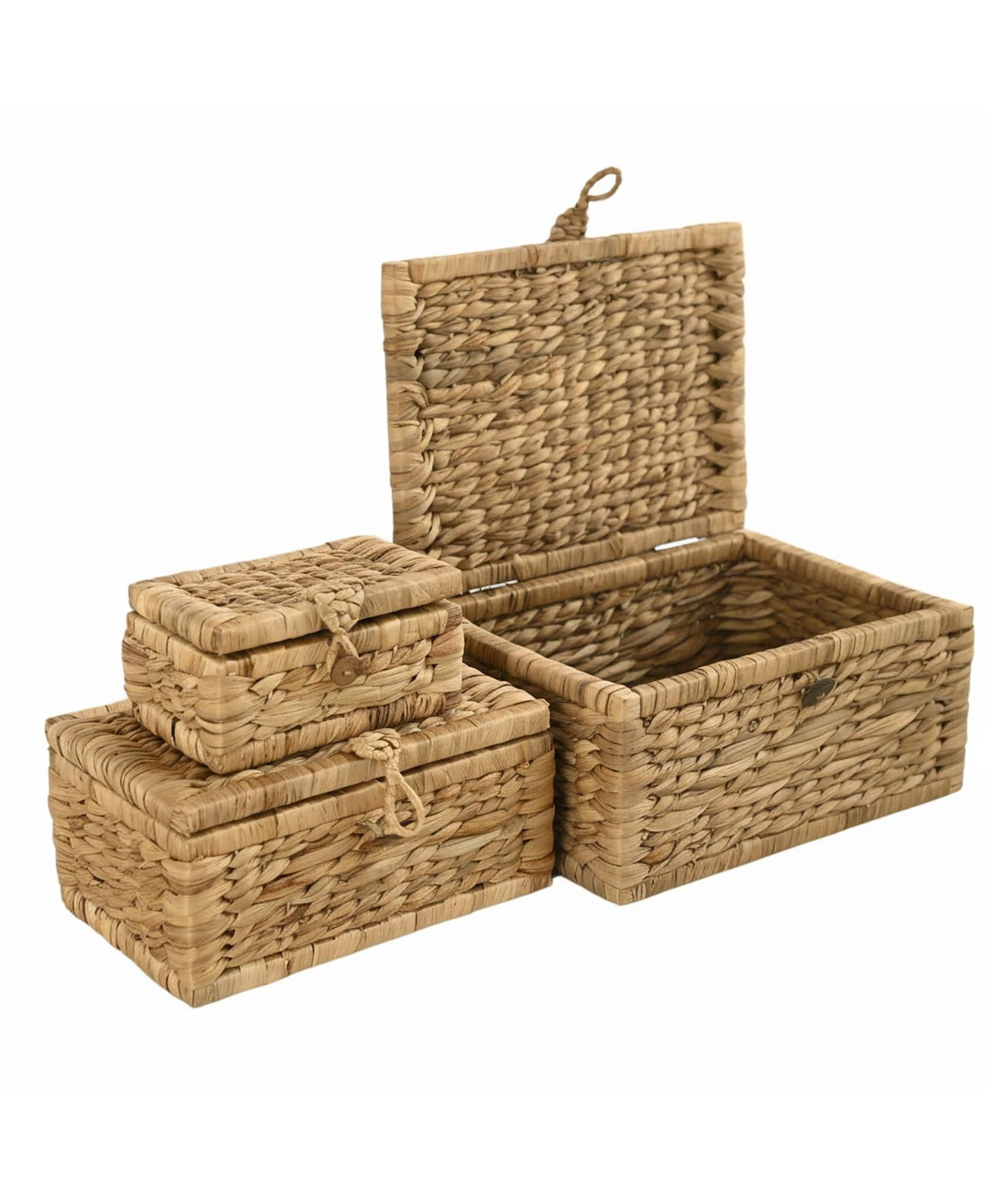 Yigii Wicker Storage Basket Set of 3 with Lids Handwoven Seagrass Decorative Organizers for Toys Clothes Home Decor