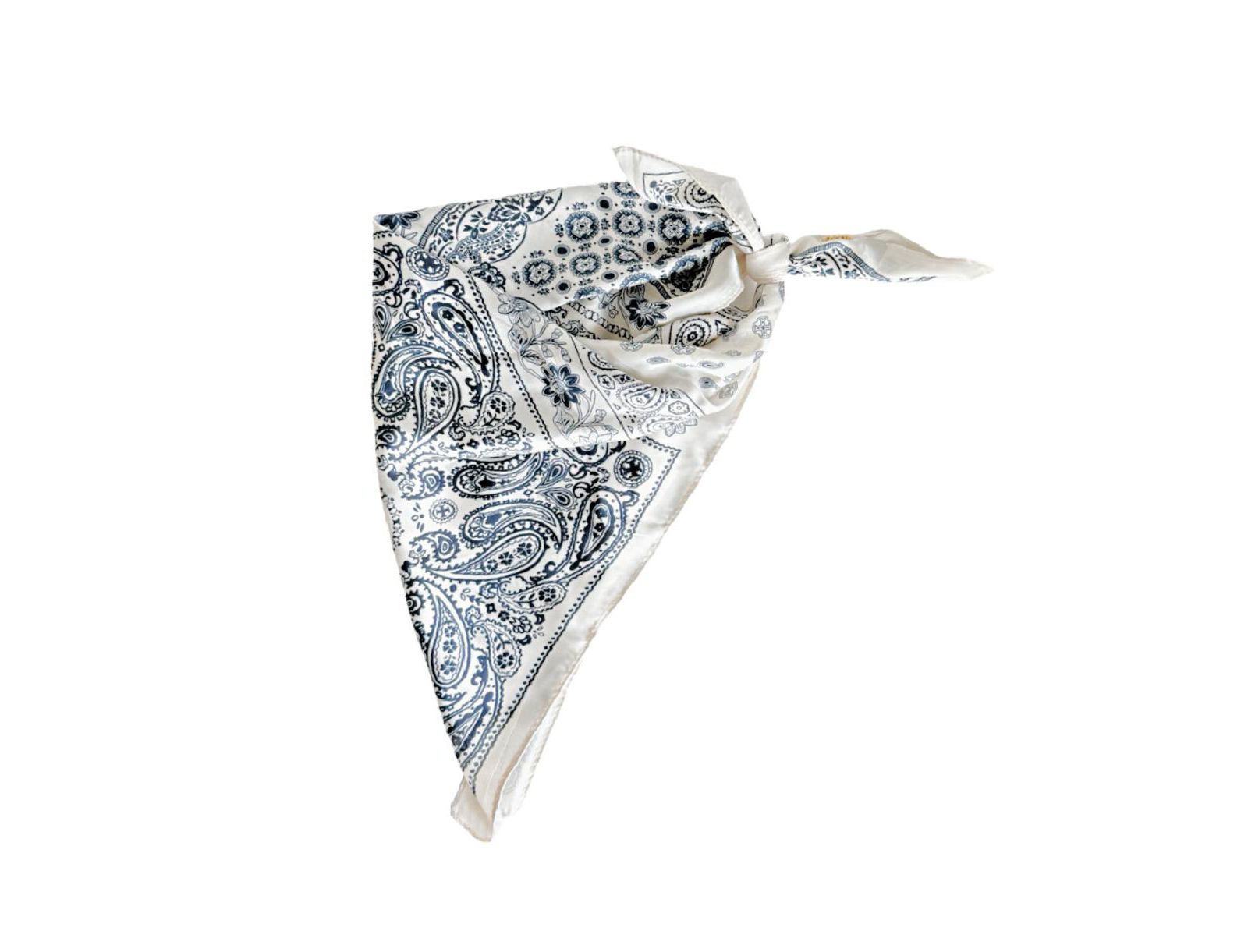 Headbands of Hope Women's Satin Paisley Headscarf
