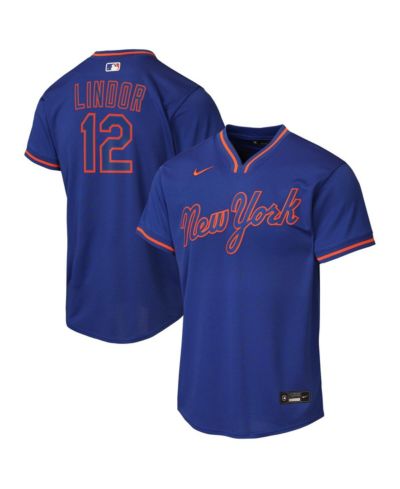 Nike Big Boys and Girls Francisco Lindor Royal New York Mets Alternate Replica Jersey