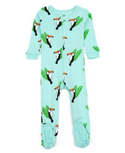 Toucan bird aqua blue