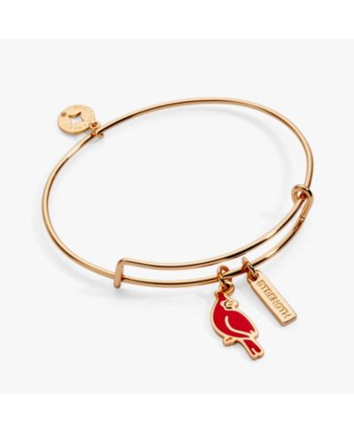 Alex and Ani Strength' Cardinal Duo Charm Bangle Bracelet