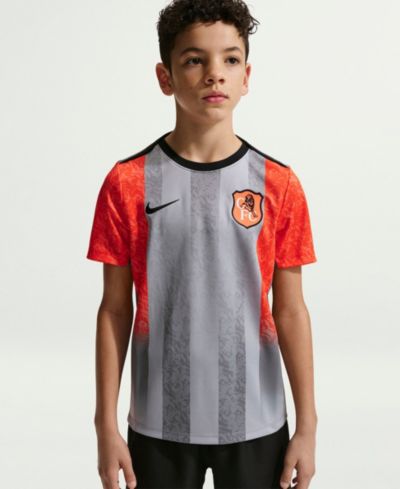 Nike Детская тренировочная футболка Academy Pro 2025/26, серая, Chelsea