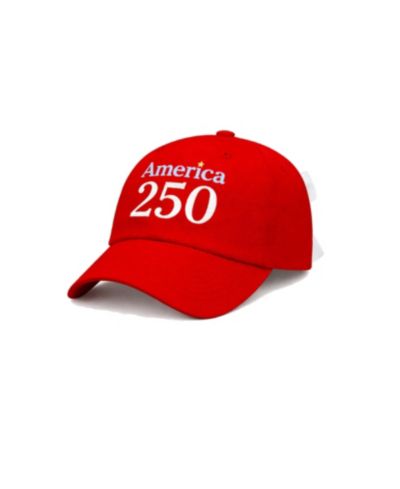 Bits & Bows Детская бейсболка Bits and Bows Little/Big America 250th Bow Baseball Hat