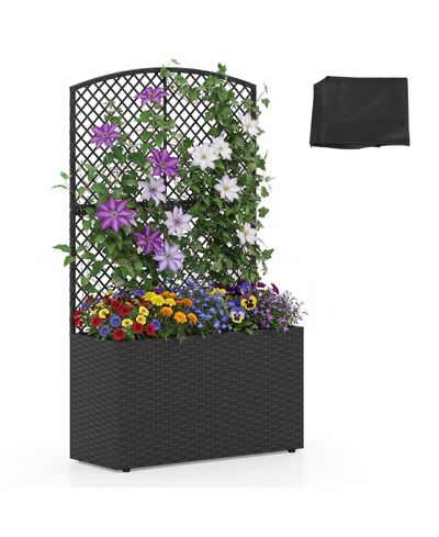 Gymax  Raised Garden Bed  Trellis Wicker Planter Box  Privacy Screen