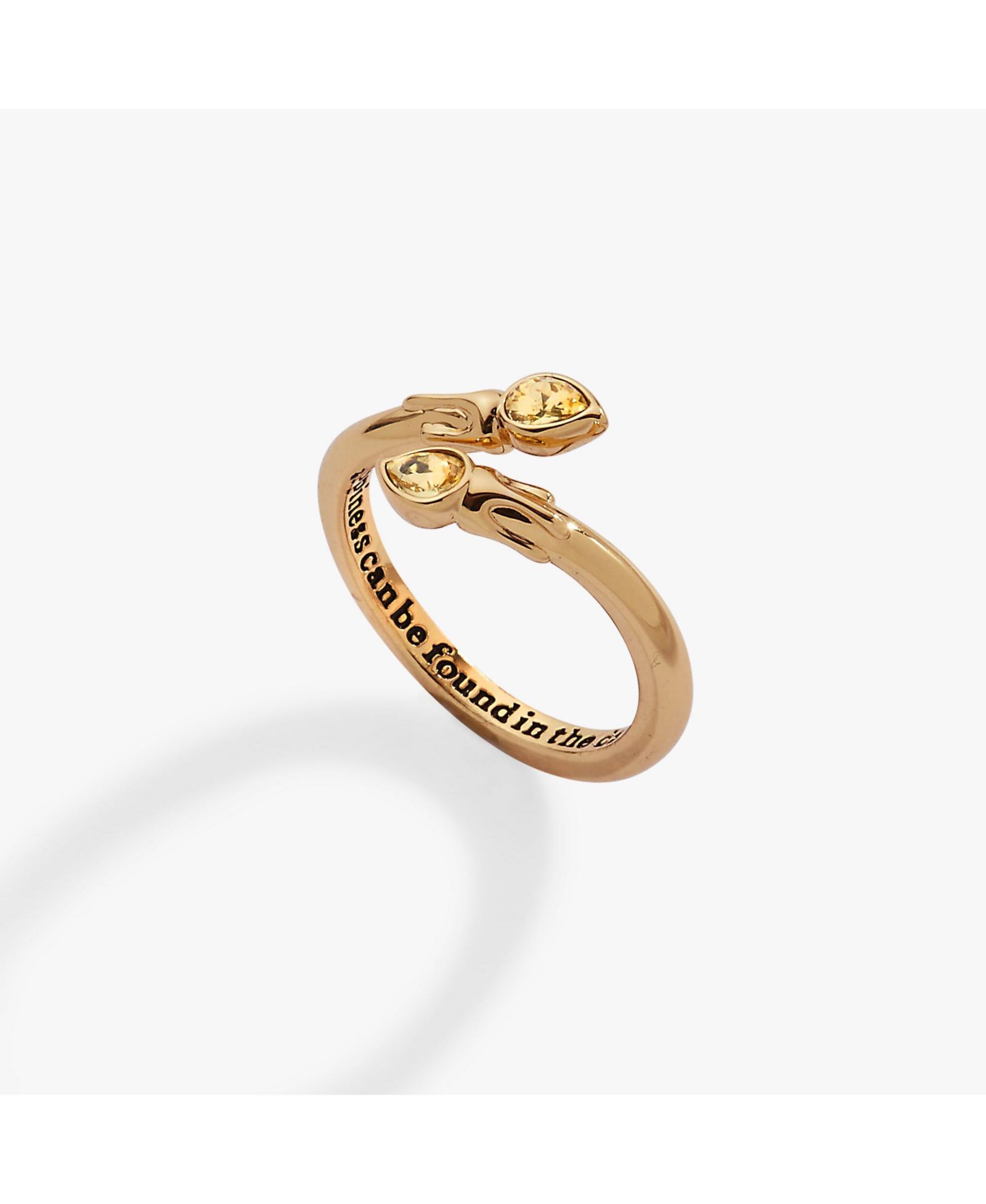 Alex and Ani Harry Potter Great Hall кольцо-капсула