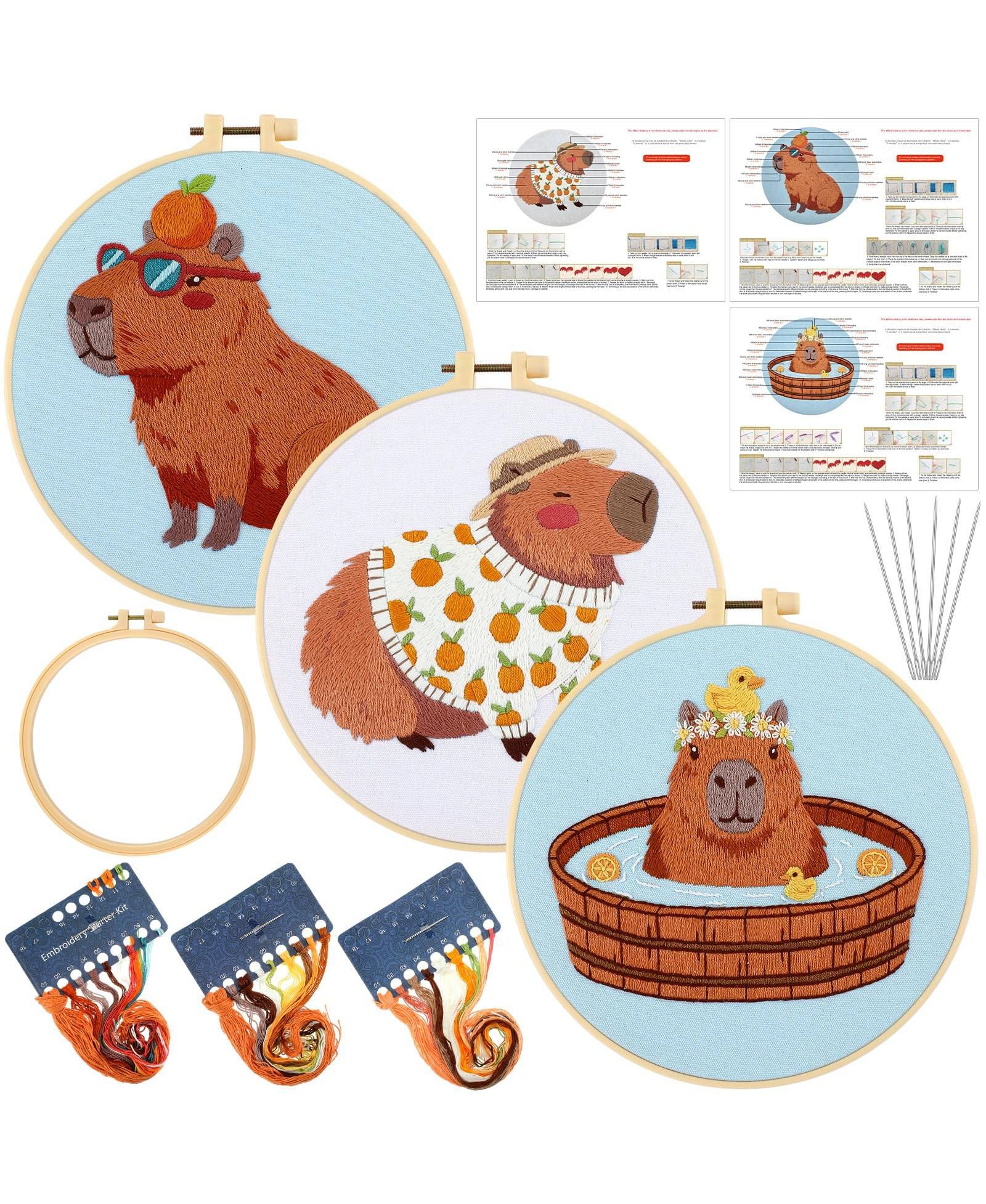GNUADZ 3 набора для вышивания Capybara, набор для начинающих с пяльцами и инструкцией