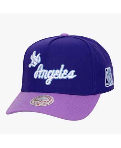 Mitchell & Ness Men's Purple Los Angeles Lakers Hardwood Classics Legendary Away Pro-Pinch Adjustable Hat