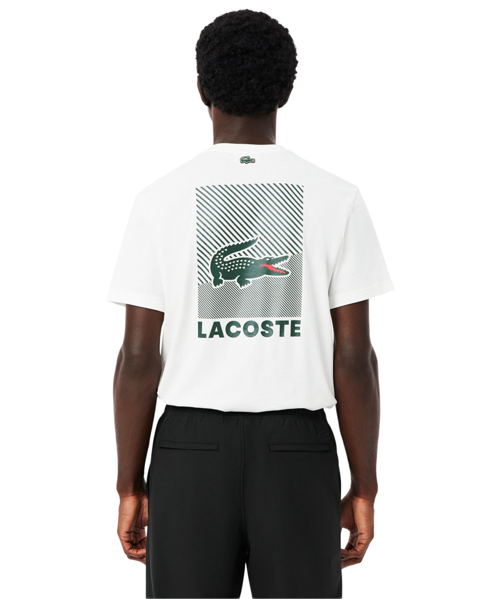 Lacoste Men's Water Base Print Crewneck T-Shirt