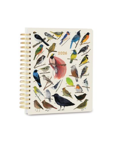 Orders of the animals