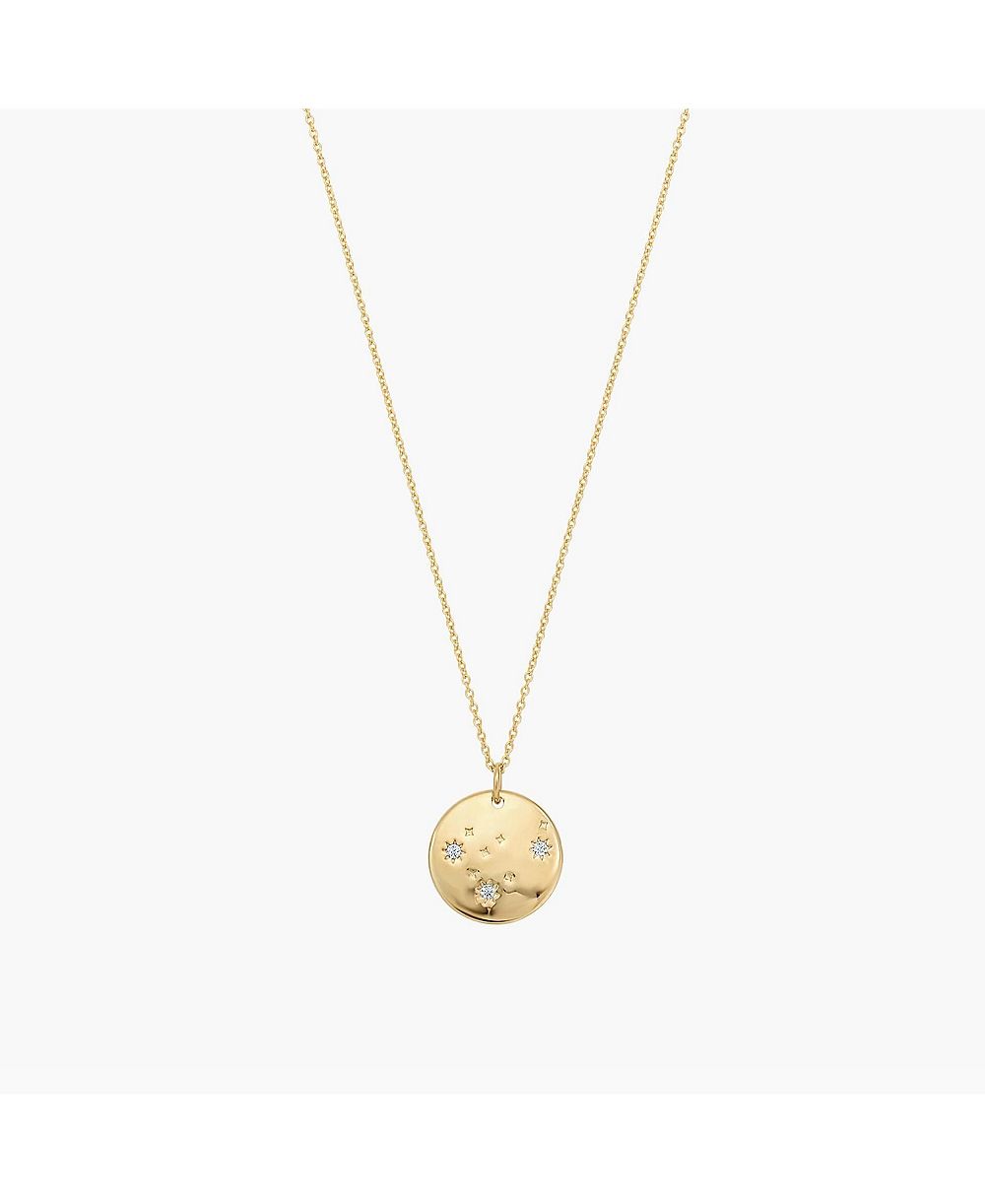 Bearfruit Jewelry Star Constellation 12 Zodiac Signs Personalized Gift for Her Gold Necklace
