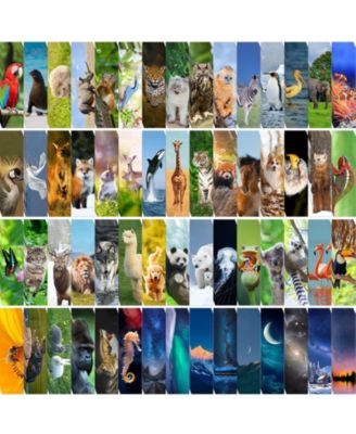 300 animals