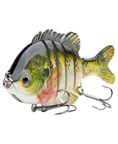 Bluegill