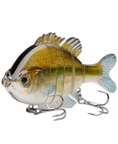Emerald shiner