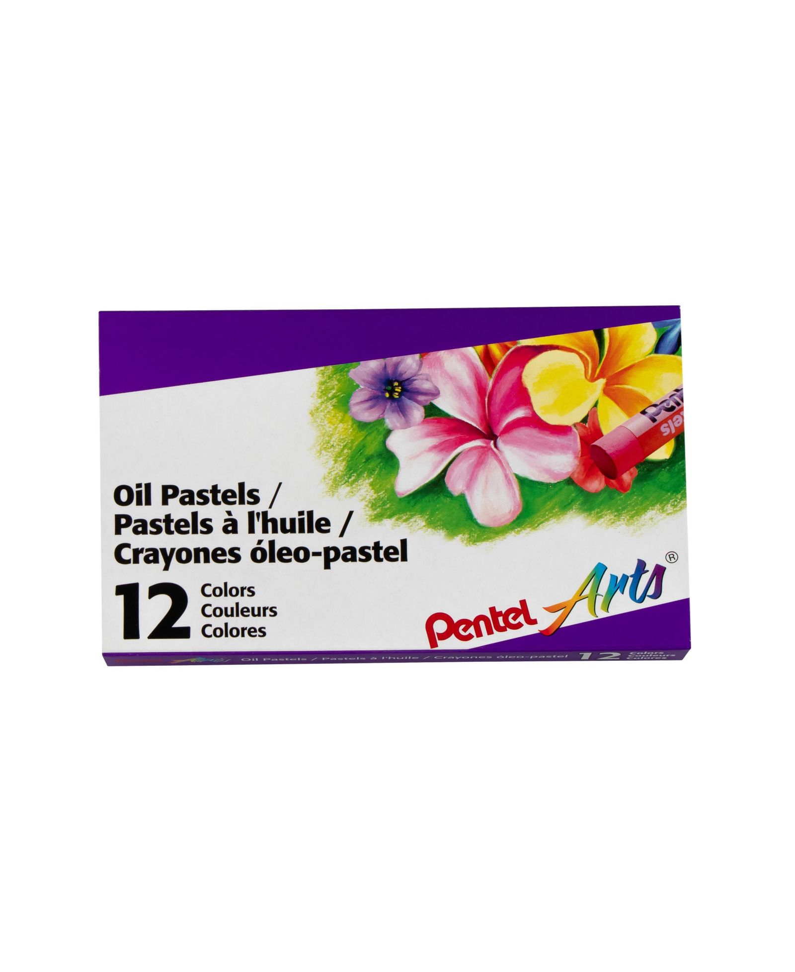 Pentel Oil Pastels Box Set with 12 Count Sets Pack of 12