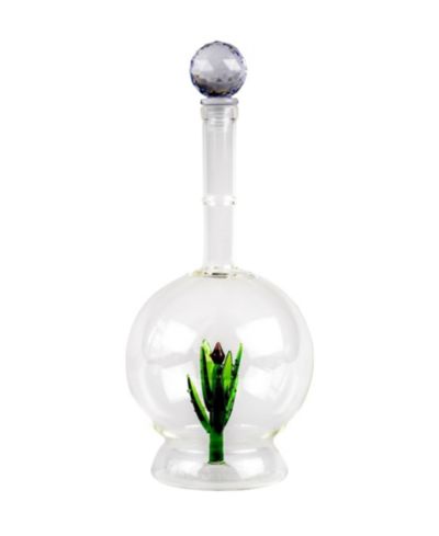 The Wine Savant Aloe Plant Shaped 25 oz. Tequila Decanter