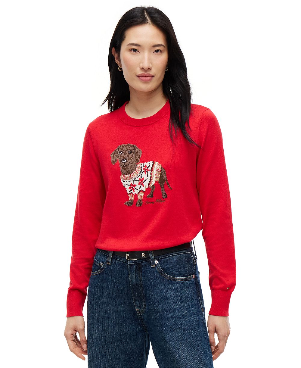 Tommy Hilfiger Women's Graphic Crewneck Sweater