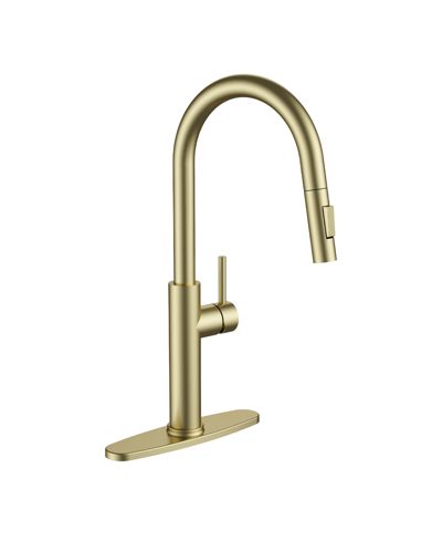 PHYING Kitchen Faucet with Pull Down Sprayer