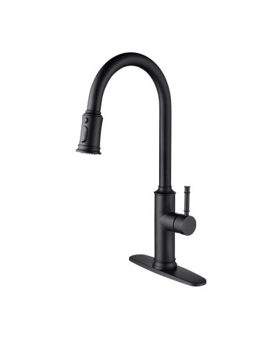 PHYING Kitchen Faucet with Pull Out Spraye