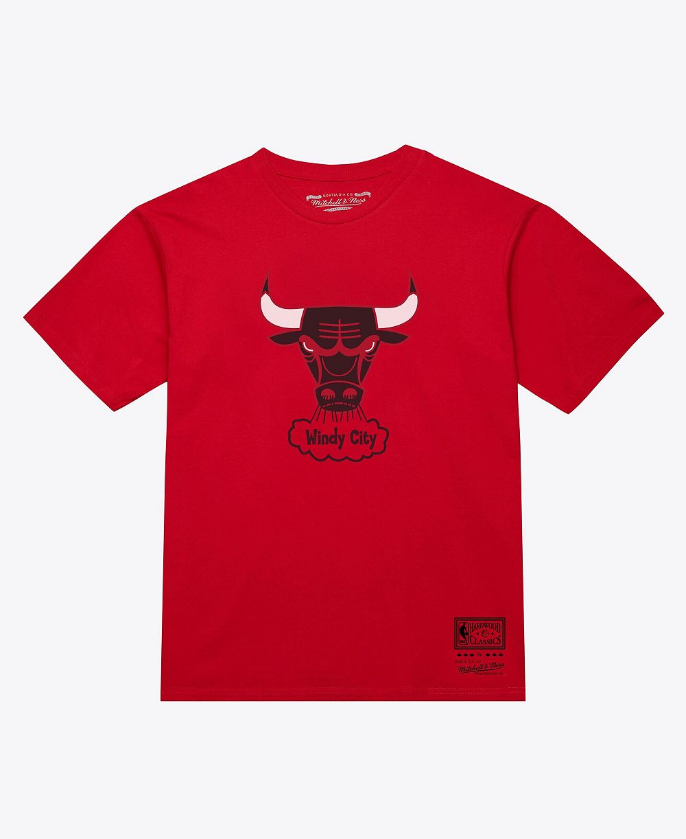 Mitchell & Ness Men's and Women's Red Chicago Bulls Hardwood Classics Arch T-Shirt